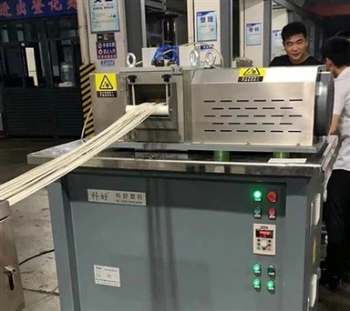 گینٹری پلاسٹک پیلیٹائزر